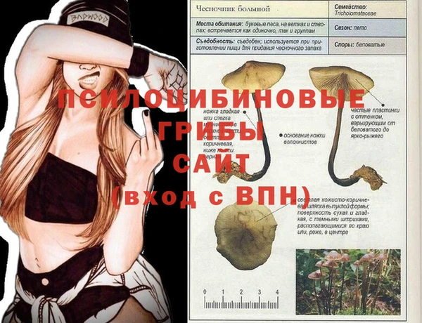 MDMA Алексин